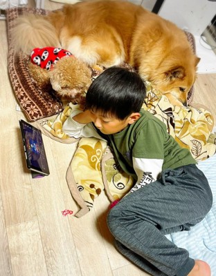 男の子と犬