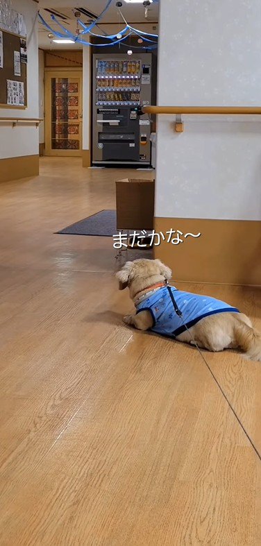 おばあちゃんに会いに来たラクちゃん3