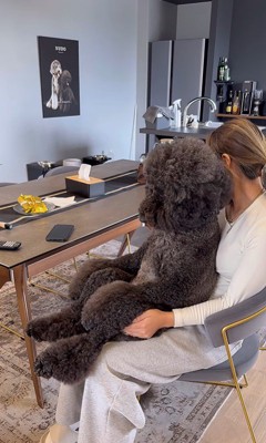 テレビを見るCOCOちゃん8