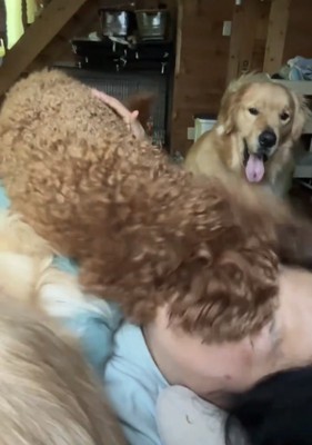 女性の顔に覆いかぶさる犬