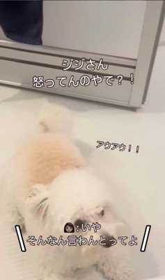 お風呂場に突撃するジジくん4