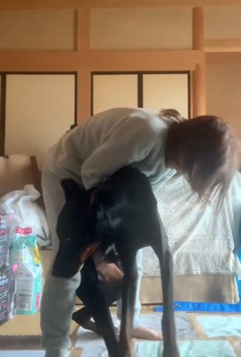 タイソンくんが回復するまで4