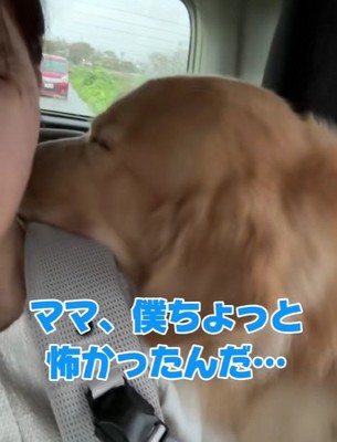 「本当は怖かった…」