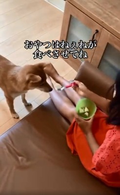 おやつを食べさせる娘さん