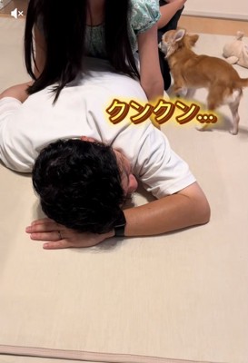 浮気調査をするチャイちゃん