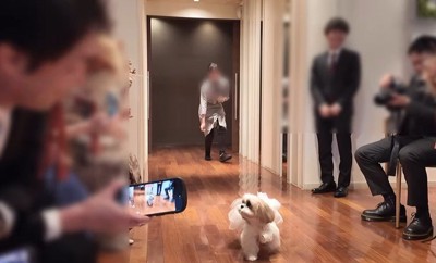 リングドッグに挑戦するつぶちゃん7