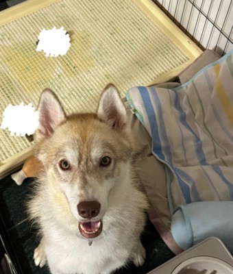 すっかり笑顔に♪