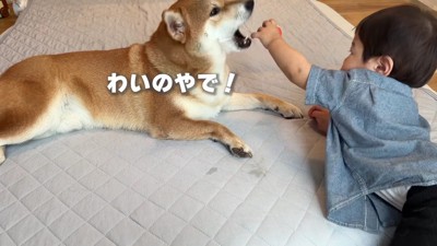 どちらも負けていません