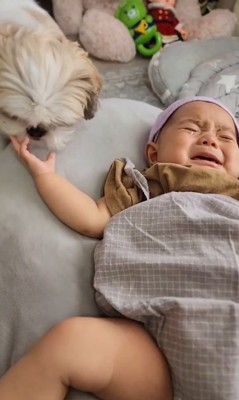 赤ちゃんが大好きなピコちゃん7