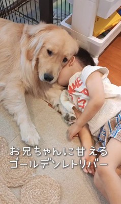 甘えるエルちゃん