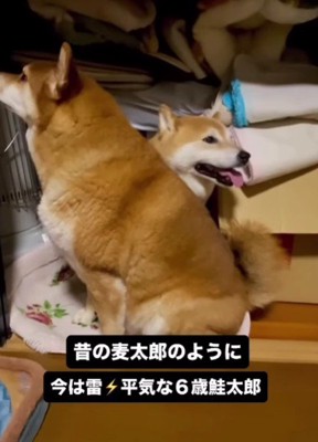 「みんなついてるよ」