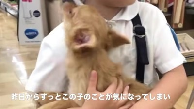 毎日会いに行った…