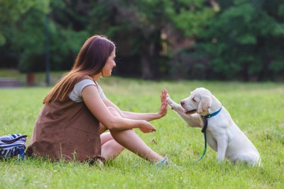 ハイタッチする女性と子犬