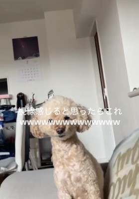 見られてる…？