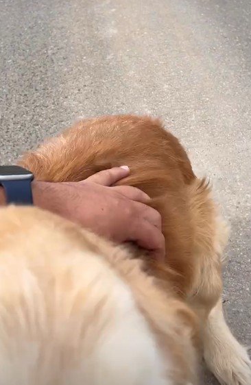 久々のナデナデを堪能