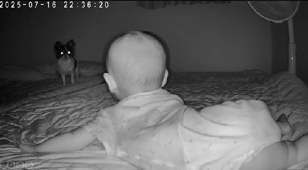 2人でなにかやってる!