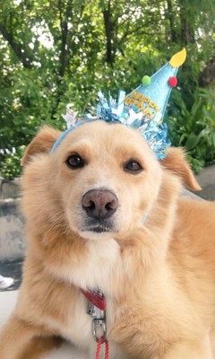 お誕生日