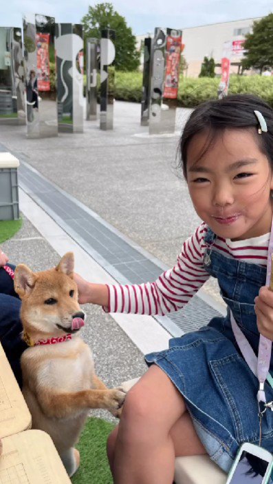 想像と違う犬との生活