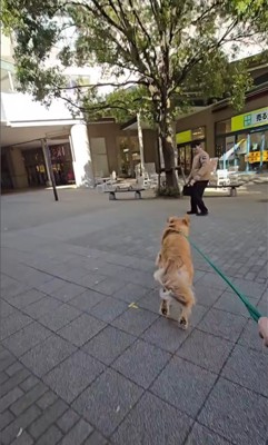 サンタくんがパパに気づくのか検証4