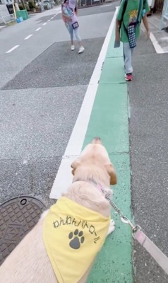 駆け寄る小学生たち