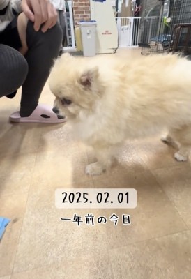 初めて出会った日