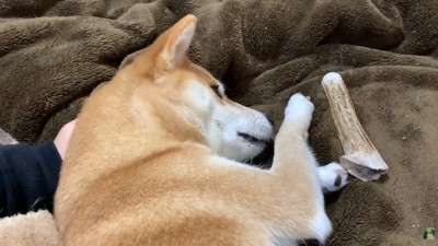 手を枕にしてゴロン♪