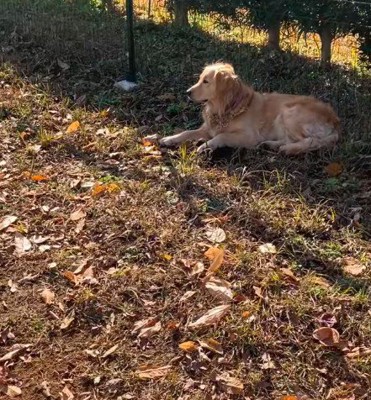 まったりと休憩