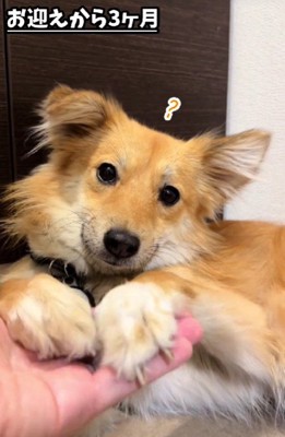 少しずつ縮まる距離