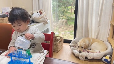実験ごっこを楽しむ女の子