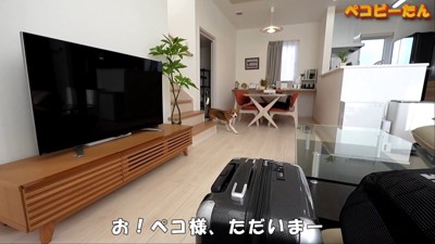 パパが出張から帰ってきた時のペコちゃん