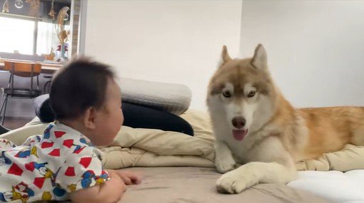 茶々丸くんと赤ちゃん7