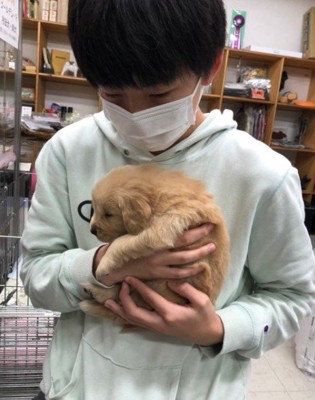 ピケちゃんとの出会い
