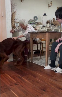 わんこと遊べて大喜び！！