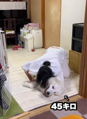 ドレミちゃんの成長5