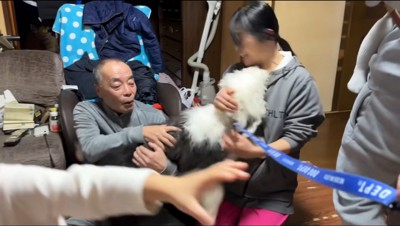 女性に抱きつく子犬