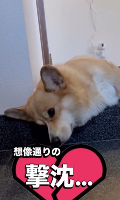 あふれる絶望感