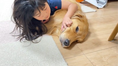 口に指を入れられる犬