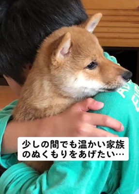 家族でサスケちゃんを支えた