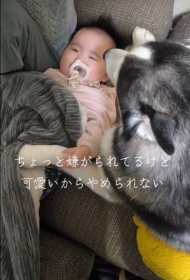 諭吉くんと赤ちゃん7