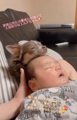 エルアちゃんと赤ちゃん4