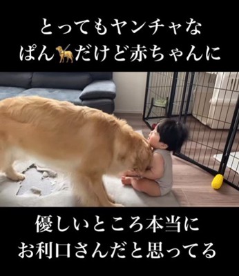赤ちゃんに優しいぱん君6