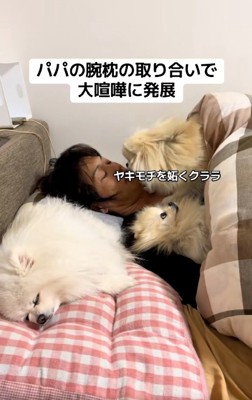 やきもちを焼くクララちゃん