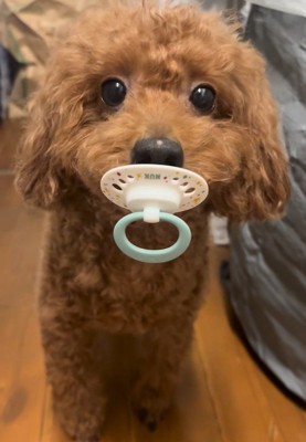 おしゃぶりをくわえています!