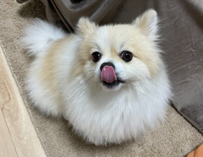 立派に成長