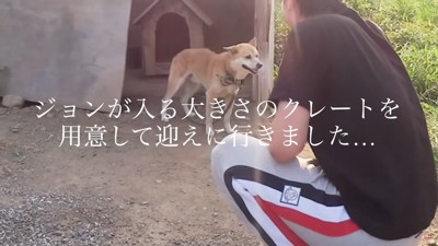 6年間繋がれていたジョンくん