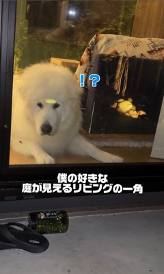 虫が寄ってきました