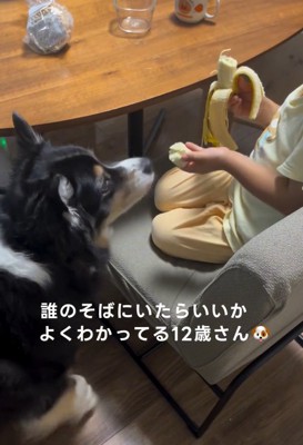 何度もあげる息子さん
