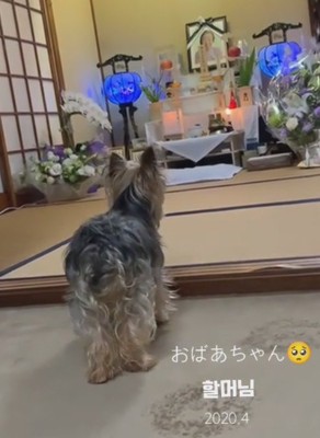 「どこ行っちゃったの」