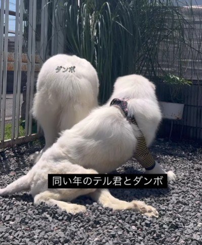 通じるものがある…？