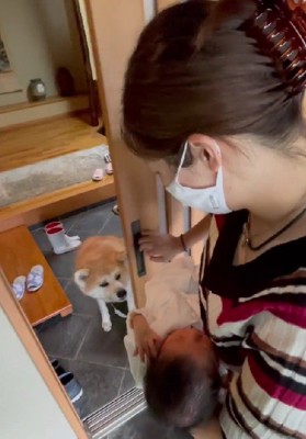 2週間ぶりにママ帰宅